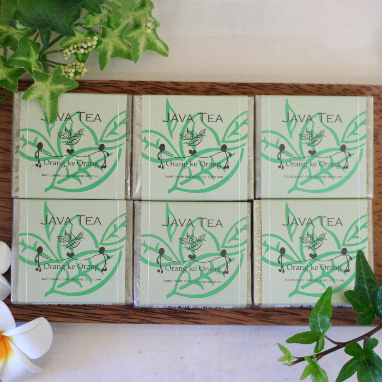 ●送料無料 ジャワティー 6個セット