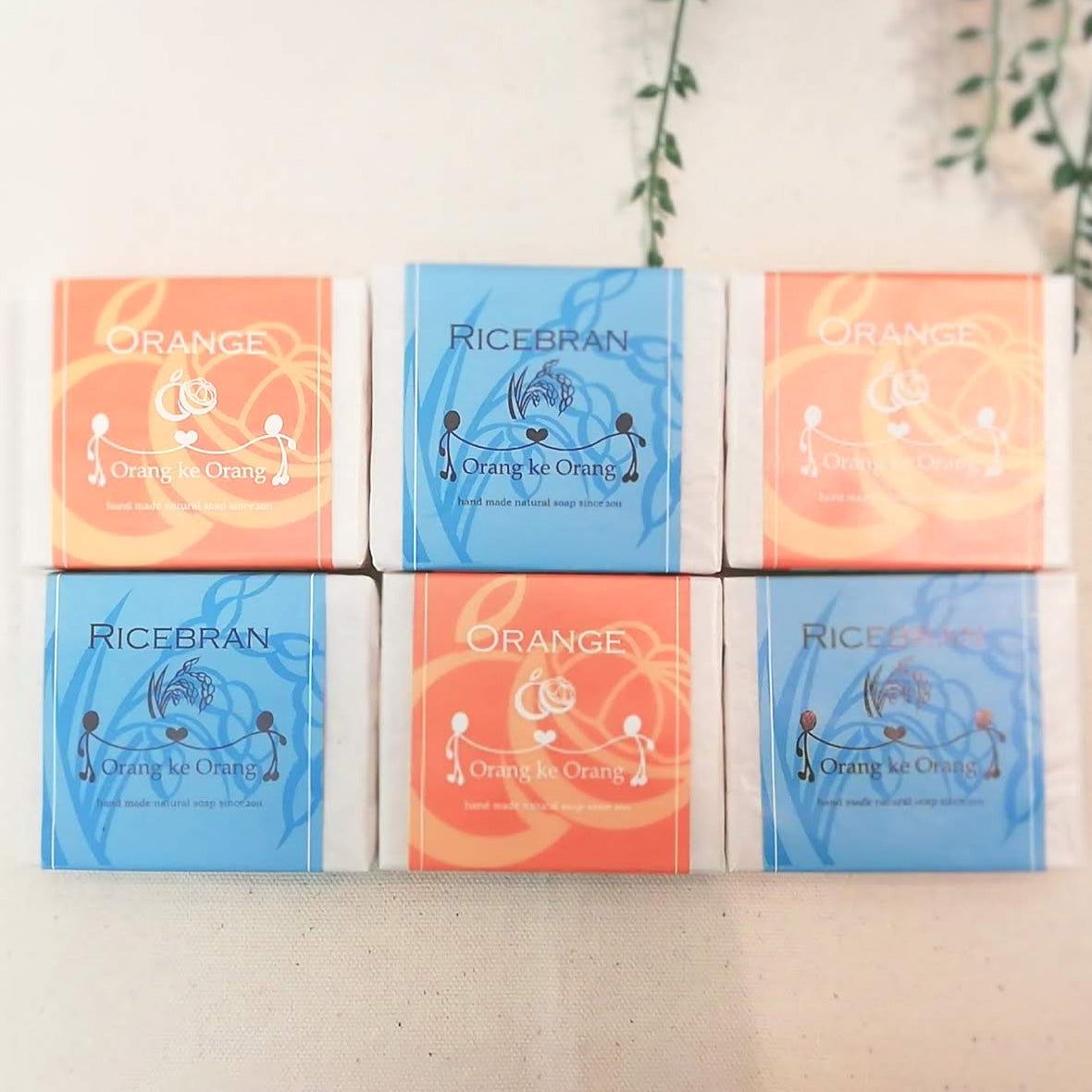 ●送料無料 オレンジとライスブラン 6個セット