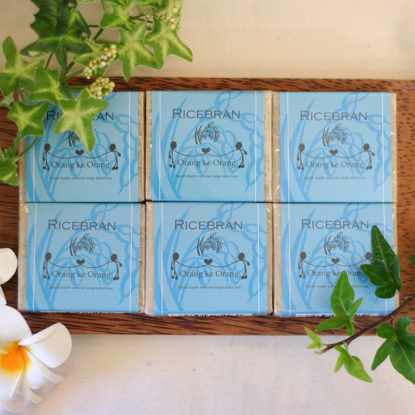 ●送料無料　ライスブラン　6個セット