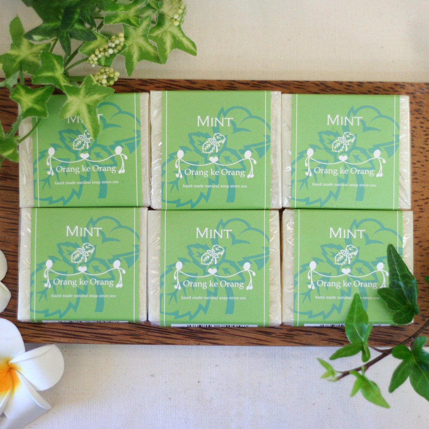 ●送料無料　ミント　6個セット